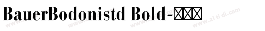 BauerBodonistd Bold字体转换